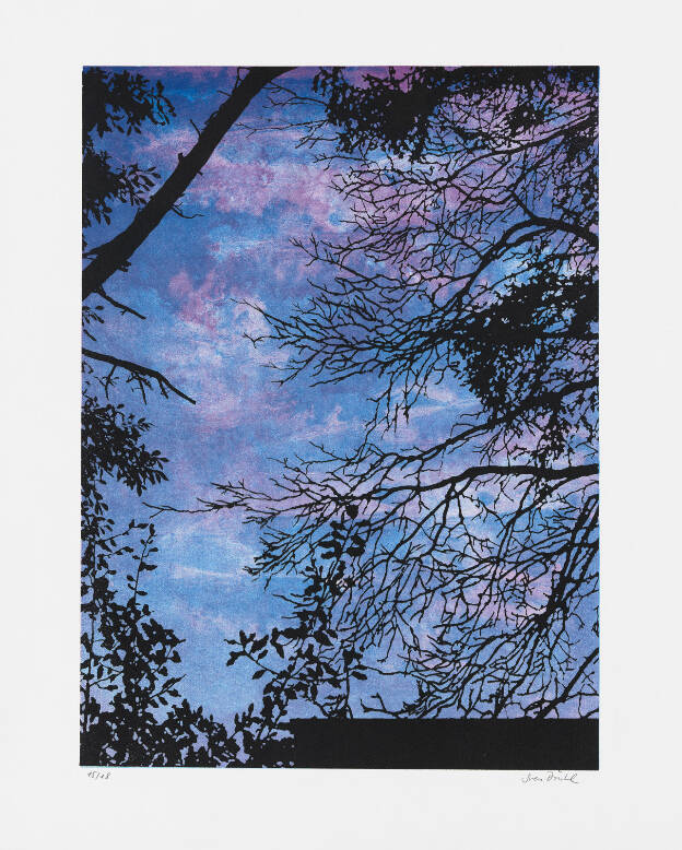 S.D.N.N., 2015, 50 x 40 cm cm, Lithographie auf Büttenpapier SOLD OUT