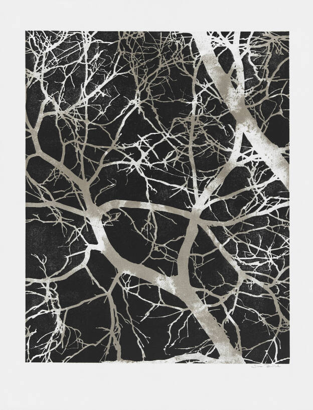 S.D.H.H. (Invers), 2011, 65 x 50 cm, Lithographie auf Büttenpapier, Griffelkunst-Mappe 2011 SOLD OUT