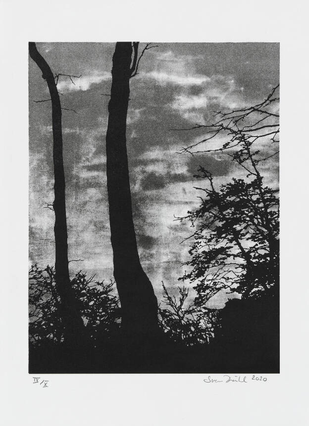 S.D., 2020, 38 x 28 cm, Lithographie auf Büttenpapier SOLD OUT