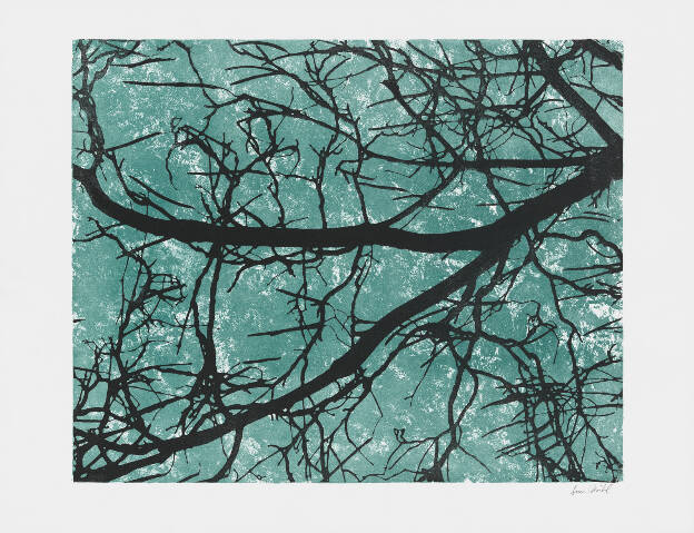 S.D.H.H. (Invers), 2011, 65 x 50 cm, Lithographie auf Büttenpapier, Griffelkunst-Mappe 2011 SOLD OUT