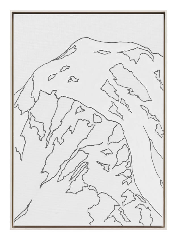 E.T.C. (Bastard), 2015, 85 x 60 cm, Lacquer and Silicone on Canvas